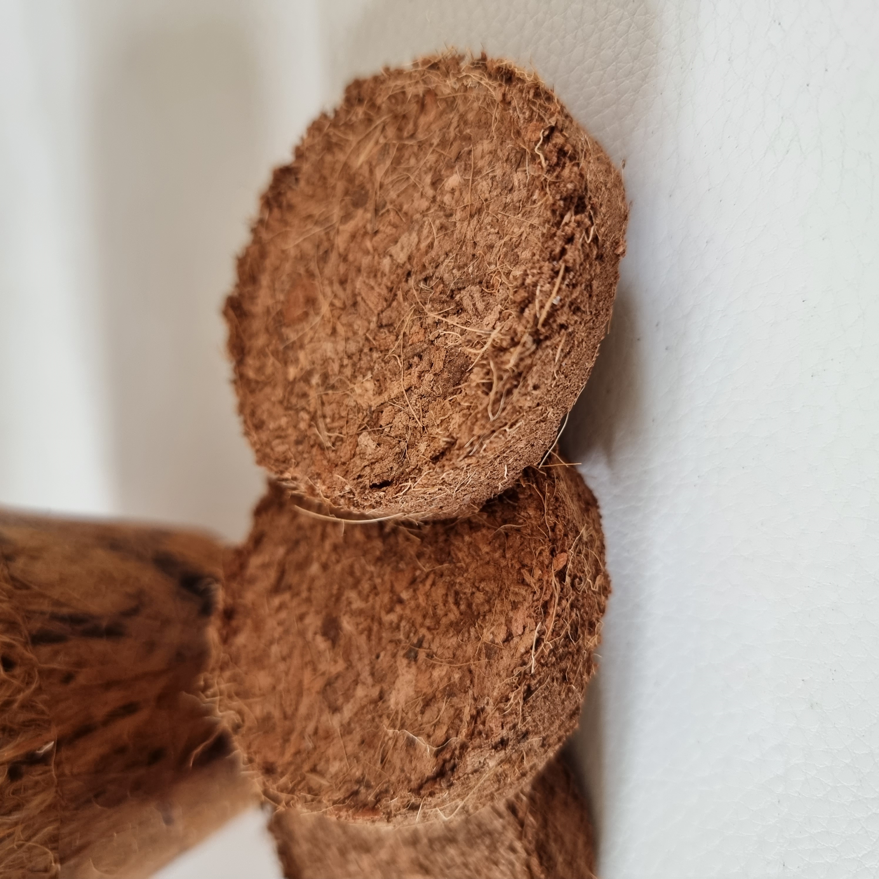 Coir Peat Disc 50mm (pack of 25)