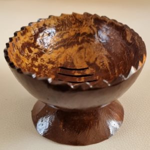 Coconut Shell Soap Holder