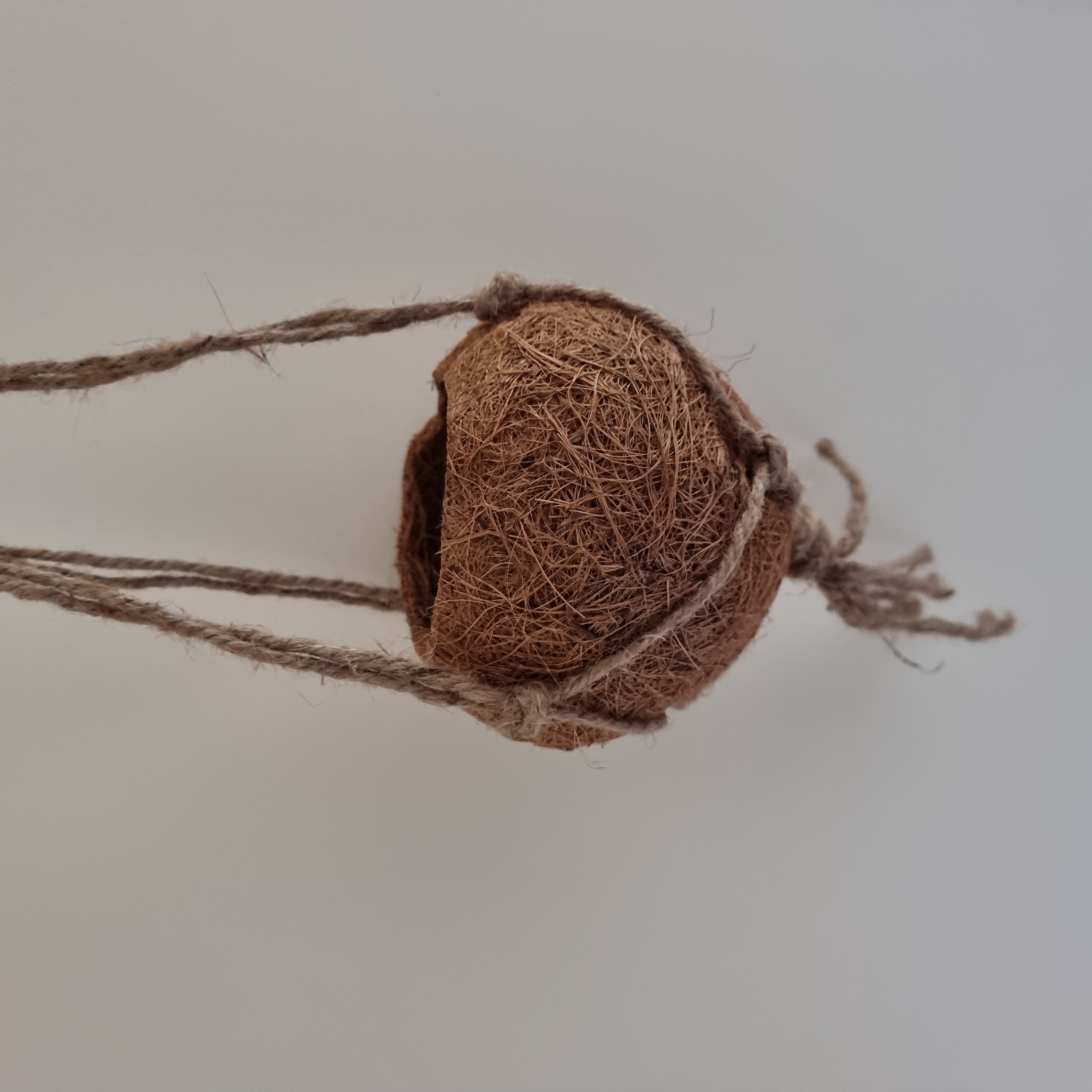 Hanging Coir Pot